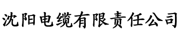 无码成人片一区二区三区电缆厂logo